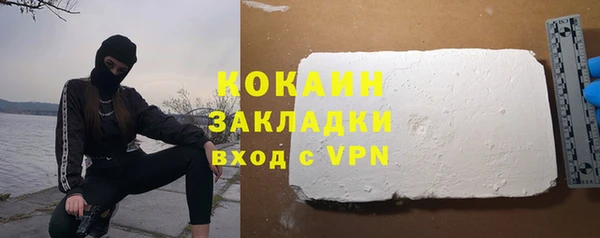 крисы Баксан
