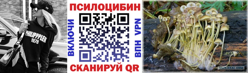 ОМГ ОМГ ONION  Завитинск  Псилоцибиновые грибы Psilocybine cubensis  сколько стоит 