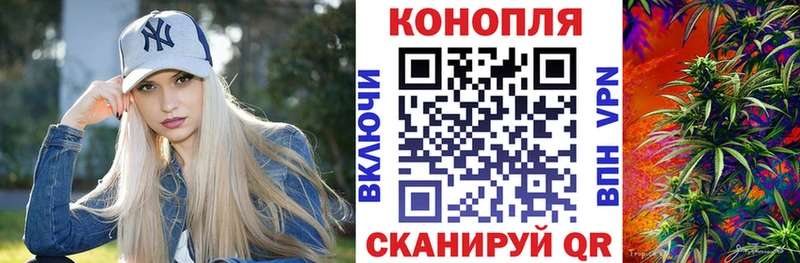 Бошки Шишки OG Kush Завитинск